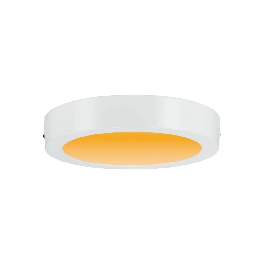 Paulmann 79795 - Plafonnier LED/13W CARPO 230V 2300/2500/3000K