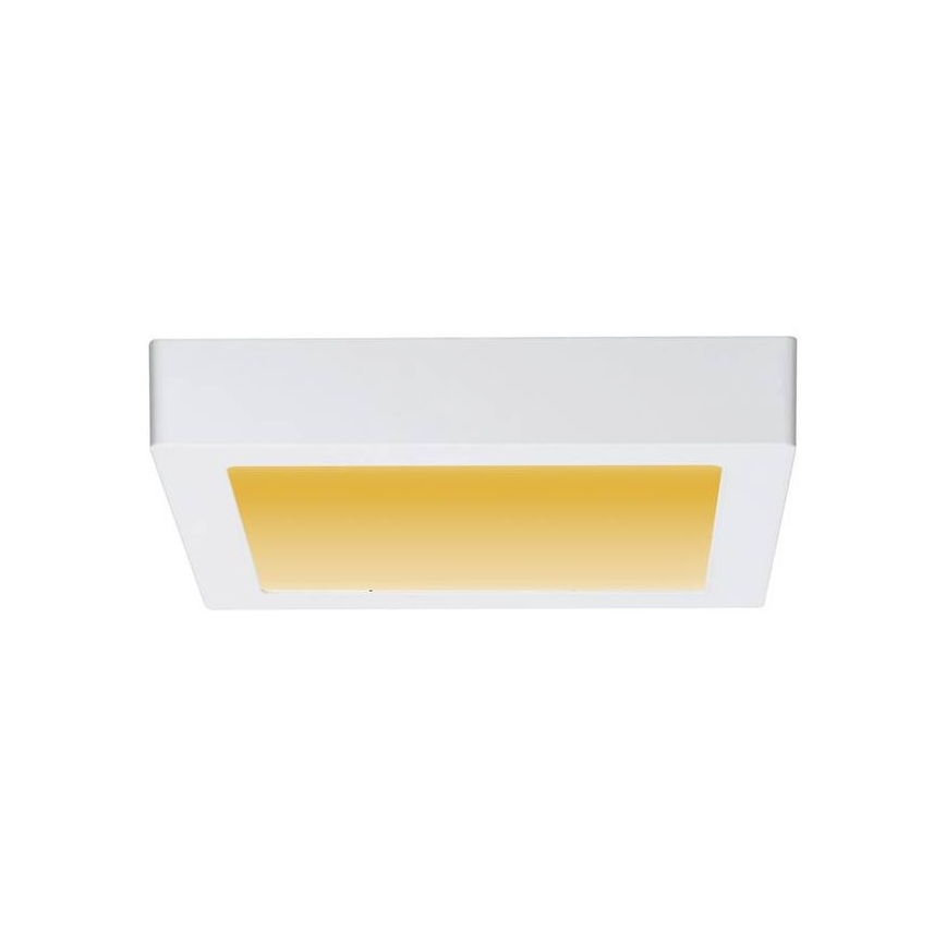 Paulmann 79796 - Plafoniera LED/13W CARPO 230V 2300-3000K