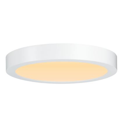 Paulmann 79799 - LED/19W Plafoniera CARPO 230V 2300/2500/3000K