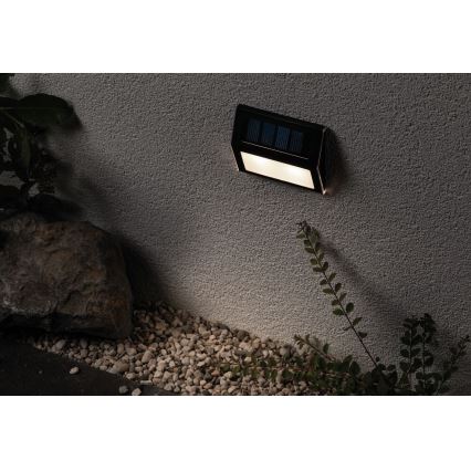 Paulmann 94234- Luminaire solaire avec détecteur LED/0,05W IP44 DAYTON 1,5V