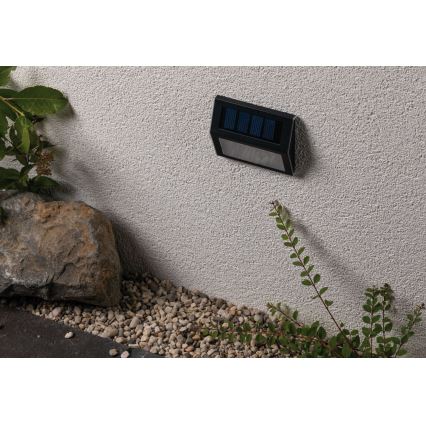 Paulmann 94234- Luminaire solaire avec détecteur LED/0,05W IP44 DAYTON 1,5V