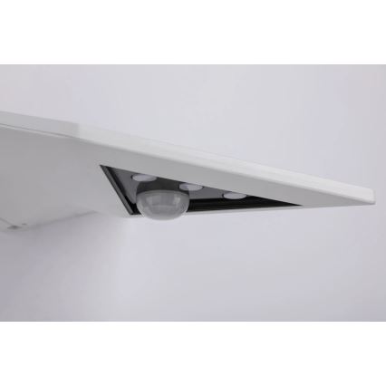 Paulmann 94244 - Applique murale solaire LED 1,2 W IP44 avec capteur YOKO 3,7 V 1800 mAh, blanche