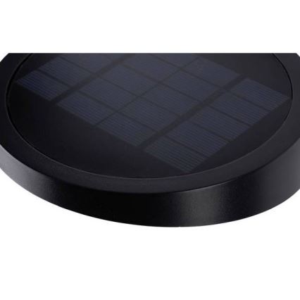 Paulmann 94246 - Luminaire solaire extérieur avec détecteur LED/1,2W IP44 Outdoor solar light with sensor RYSE 3,7V
