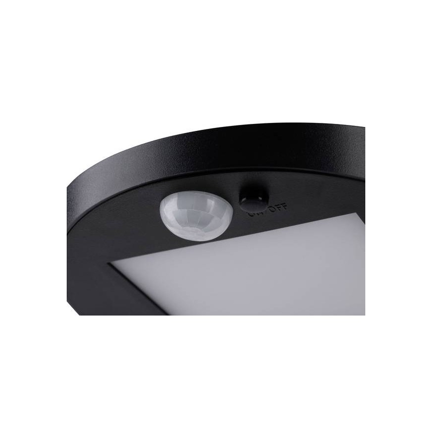 Paulmann 94246 - Luminaire solaire extérieur avec détecteur LED/1,2W IP44 Outdoor solar light with sensor RYSE 3,7V