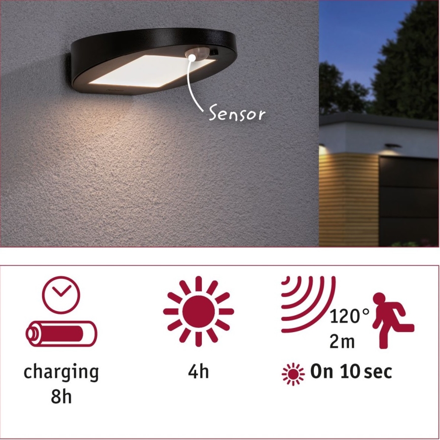 Paulmann 94246 - Luminaire solaire extérieur avec détecteur LED/1,2W IP44 Outdoor solar light with sensor RYSE 3,7V