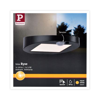 Paulmann 94246 - Luminaire solaire extérieur avec détecteur LED/1,2W IP44 Outdoor solar light with sensor RYSE 3,7V
