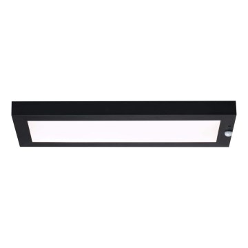 Paulmann 94256_1 - LED/10W IP44 Outdoor-Deckenleuchte mit Sensor 230V