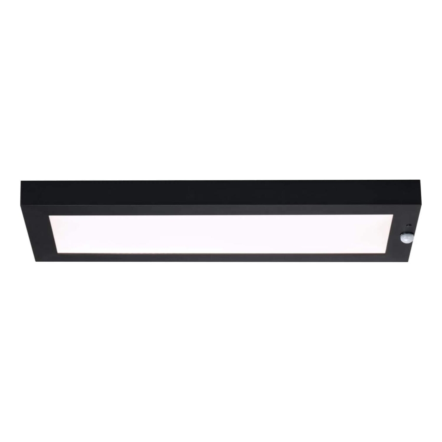 Paulmann 94256_1 - LED/10W IP44 Plafonnier extérieur avec détecteur 230V