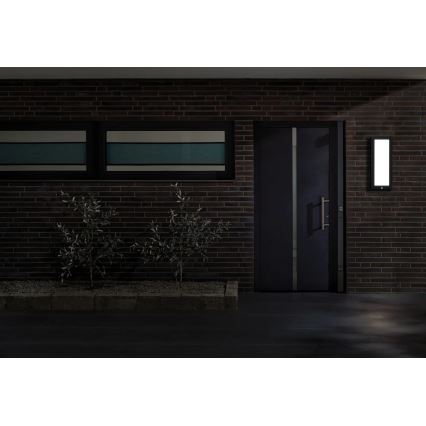 Paulmann 94256_1 - LED/10W IP44 Plafonnier extérieur avec détecteur 230V