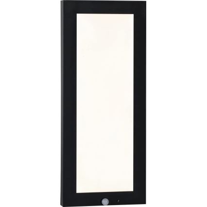 Paulmann 94256_1 - LED/10W IP44 Plafonnier extérieur avec détecteur 230V