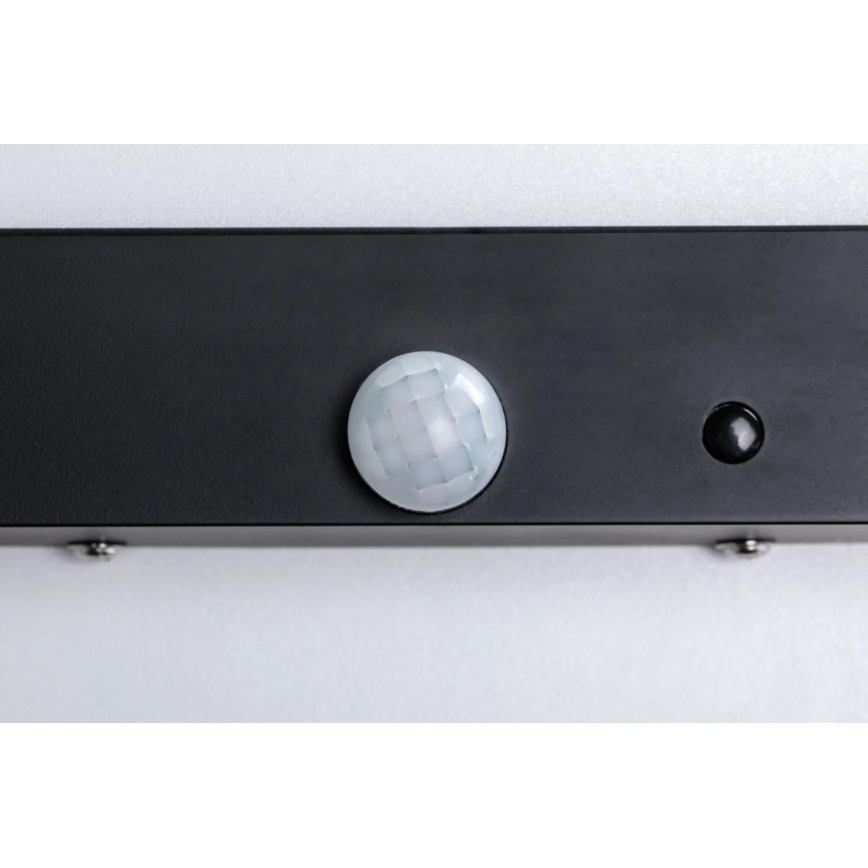 Paulmann 94256_1 - LED/10W IP44 Plafonnier extérieur avec détecteur 230V