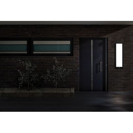 Paulmann 94257_1 - LED/19W IP44 Outdoor-Deckenleuchte mit Sensor 230V