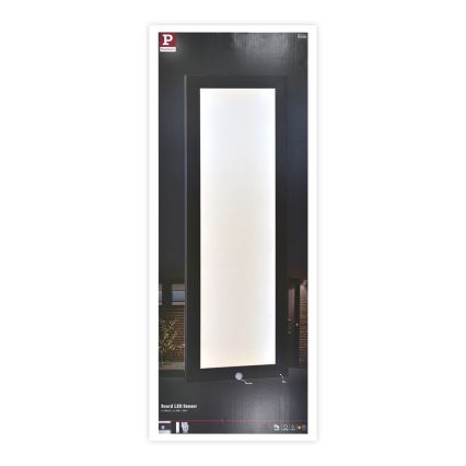 Paulmann 94257_1 - LED/19W IP44 Outdoor-Deckenleuchte mit Sensor 230V