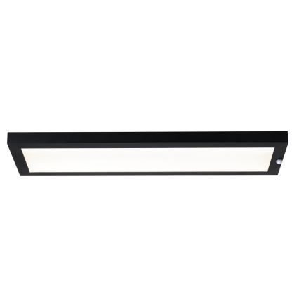 Paulmann 94257 - LED/19W IP44 Numero civico con sensore 230V