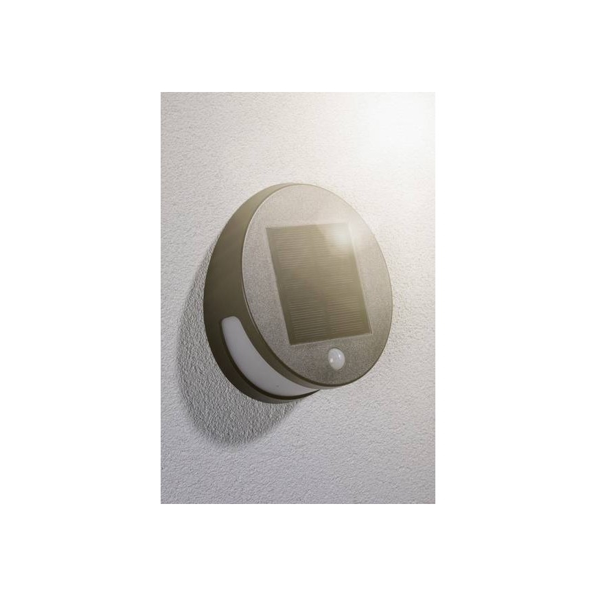 Paulmann 94265 - LED/3W IP44 Lampada solare da esterno con sensore HELENA 3,7V