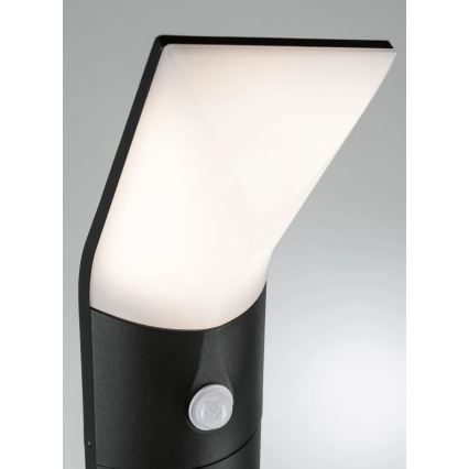 Paulmann 94403 - LED/10W IP44 Lampe d'extérieur avec détecteur ADYA 230V
