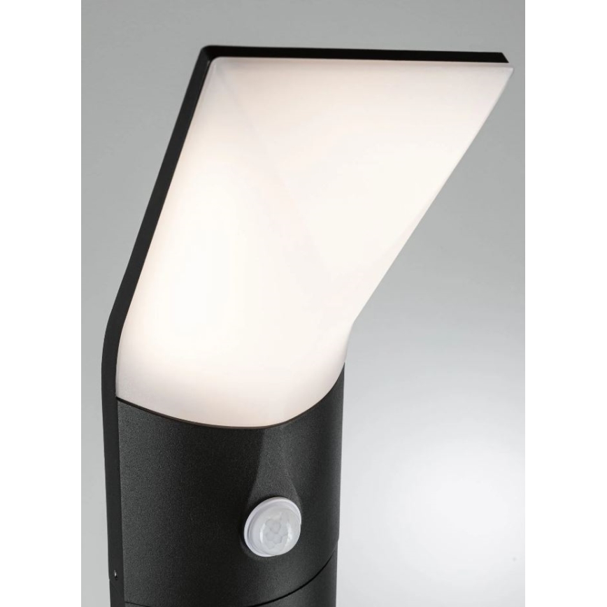 Paulmann 94403 - LED/10W IP44 Lampe d'extérieur avec détecteur ADYA 230V