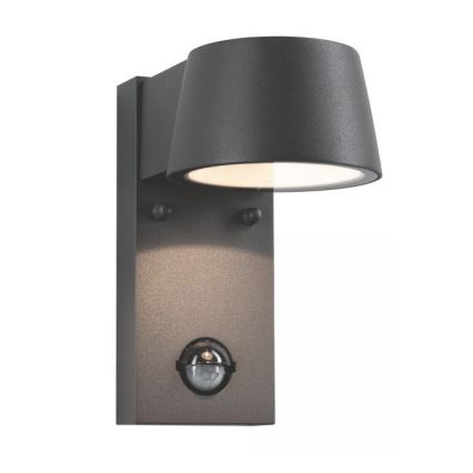 Paulmann 94453 - Applique murale d'extérieur avec détecteur LED/6W IP44 CAPEA 230V