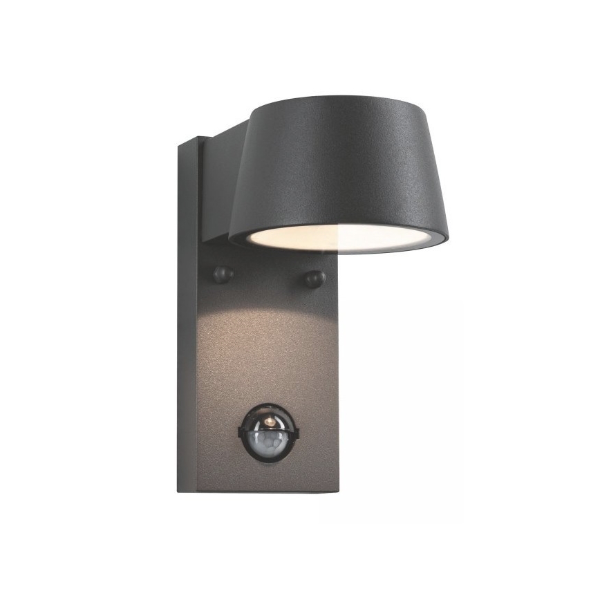 Paulmann 94453 - Applique murale d'extérieur avec détecteur LED/6W IP44 CAPEA 230V