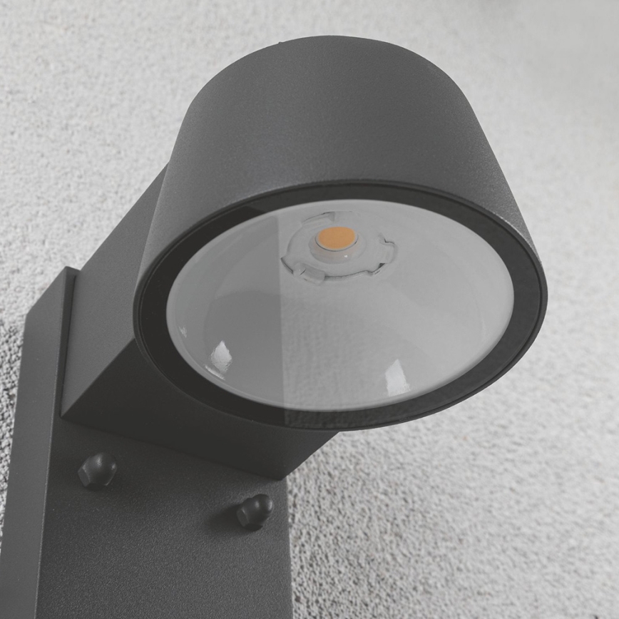 Paulmann 94453 - Applique murale d'extérieur avec détecteur LED/6W IP44 CAPEA 230V