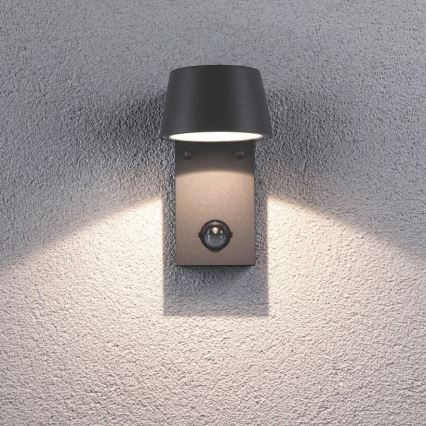 Paulmann 94453 - Applique murale d'extérieur avec détecteur LED/6W IP44 CAPEA 230V