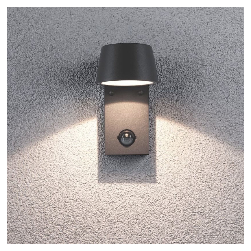 Paulmann 94453 - Applique murale d'extérieur avec détecteur LED/6W IP44 CAPEA 230V