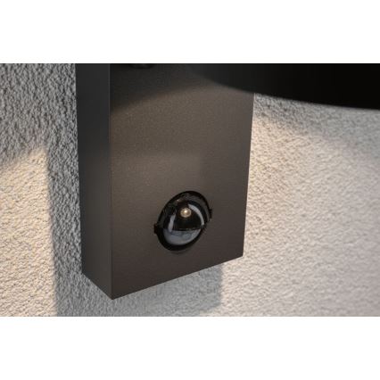 Paulmann 94453 - Applique murale d'extérieur avec détecteur LED/6W IP44 CAPEA 230V