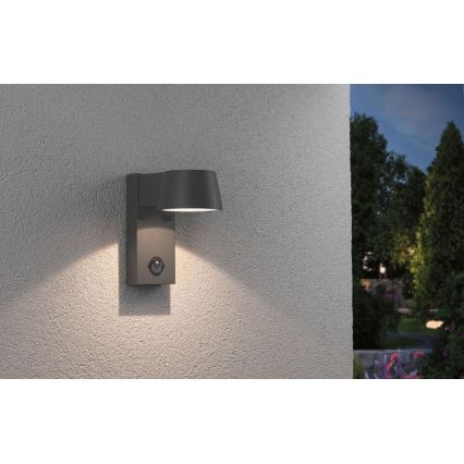 Paulmann 94453 - Applique murale d'extérieur avec détecteur LED/6W IP44 CAPEA 230V