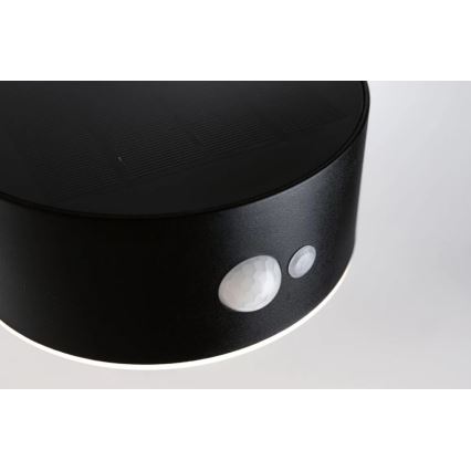 Paulmann 94570 - LED/5,5W IP44 Applique solare con sensore EILEEN 3,7V 2000 mAh