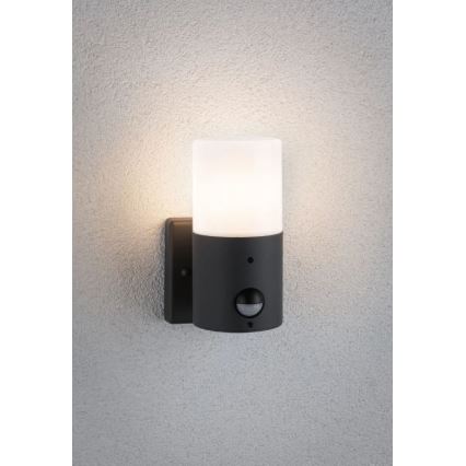 Paulmann 94648 - 1xE27/15W IP44 Applique murale extérieure avec détecteur TUBS 230V
