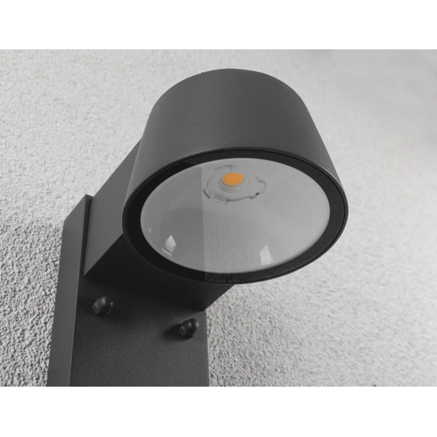 Paulmann 94714 - LED/6W IP44 Applique da esterno con sensore CAPERA 230V 2200/3000K