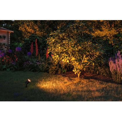 Paulmann 94731 - LED/4,3W IP65 Lampada da esterno SPOT 230V