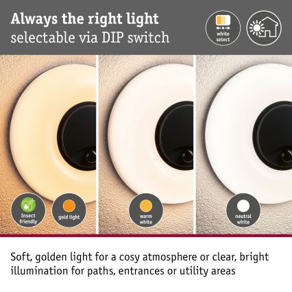 Paulmann 94956 - LED/20,5W IP65 Dimmbare Außenwandleuchte mit Bewegungs- und Dämmerungssensor AUREVA 230V 2200/3000/4000K anthrazit