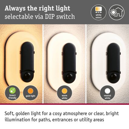 Paulmann 94958 - LED/18,5W IP65 Dimmbare Außenwandleuchte mit Bewegungs- und Dämmerungssensor ELUNOR 230V 2200/3000/4000K anthrazit