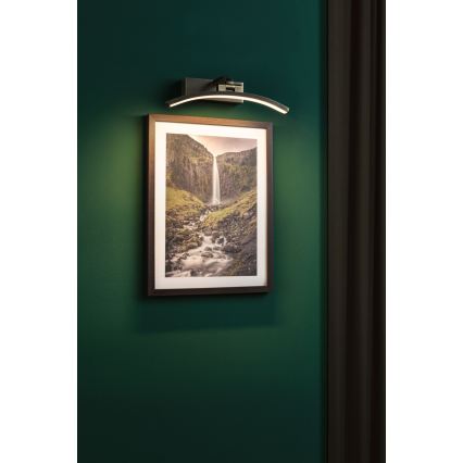 Paulmann 95559 - LED/6W Lampada per quadri BENTO 230V 30 cm in ottone