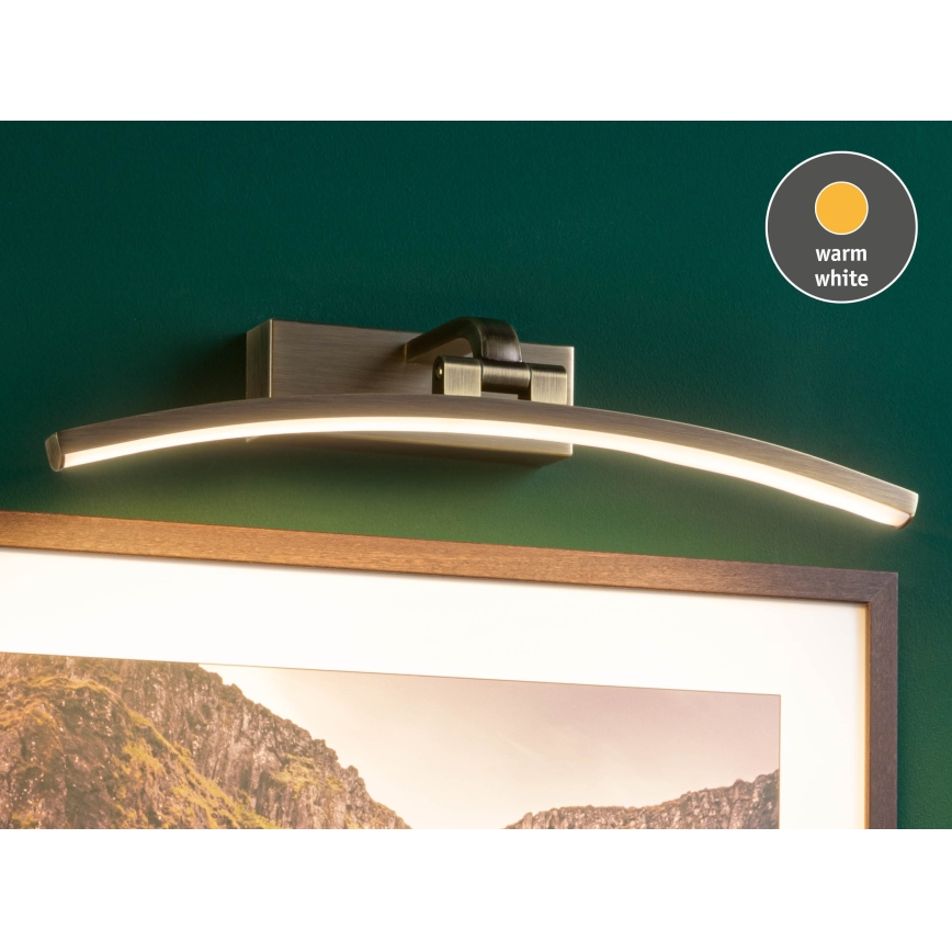 Paulmann 95560 - LED/8,5W Bilderleuchte BENTO 230V 40 cm Messing