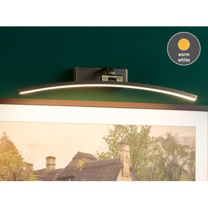 Paulmann 95561 - LED/10W Bilderleuchte BENTO 230V 50 cm Messing