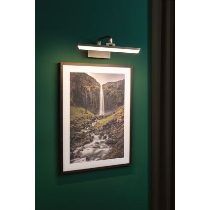 Paulmann 95569 - LED/9,5W Lampada per quadri RENAN 230V 40 cm ottone