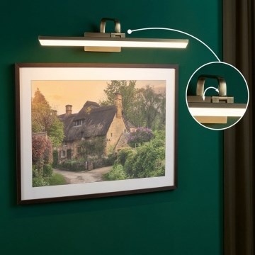Paulmann 95570 - Lampada per quadri LED 11W RENAN 230 V 60 cm, ottone