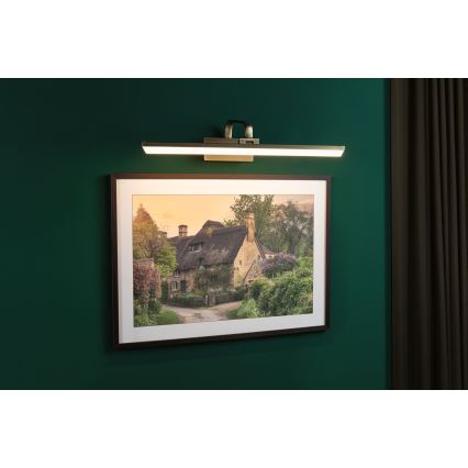 Paulmann 95570 - Lampada per quadri LED 11W RENAN 230 V 60 cm, ottone