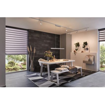 Paulmann 95578 - LED/40W Lampadario dimmerabile a sospensione con filo URAIL LENTO 230V 2700-6500K