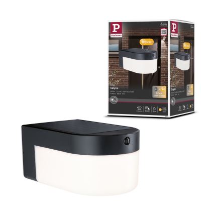 Paulmann 95747 - LED/2,3W IP44 Lampada da parete solare con sensore CALYNE 3,7/230V 4000 mAh nero