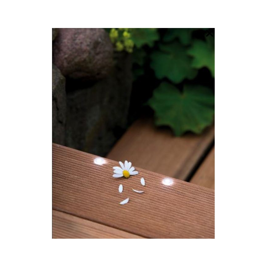 Paulmann 98892 - Estensione SET 5X LED/0,16W IP67 Luce da incasso da esterno MICRO 12V