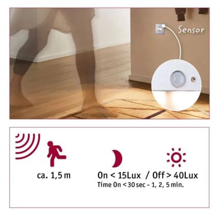 Paulmann  93134 - LED/1,2W Illuminazione scale con sensore EDGE 230V cromo opaco
