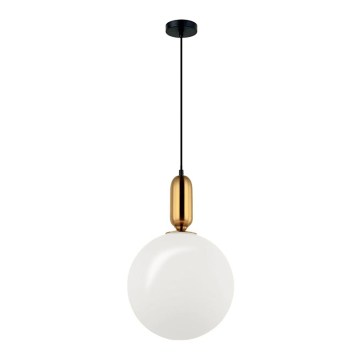 Pendelleuchte an Kabel NEPTUNE 1xE27/40W/230V goldfarben