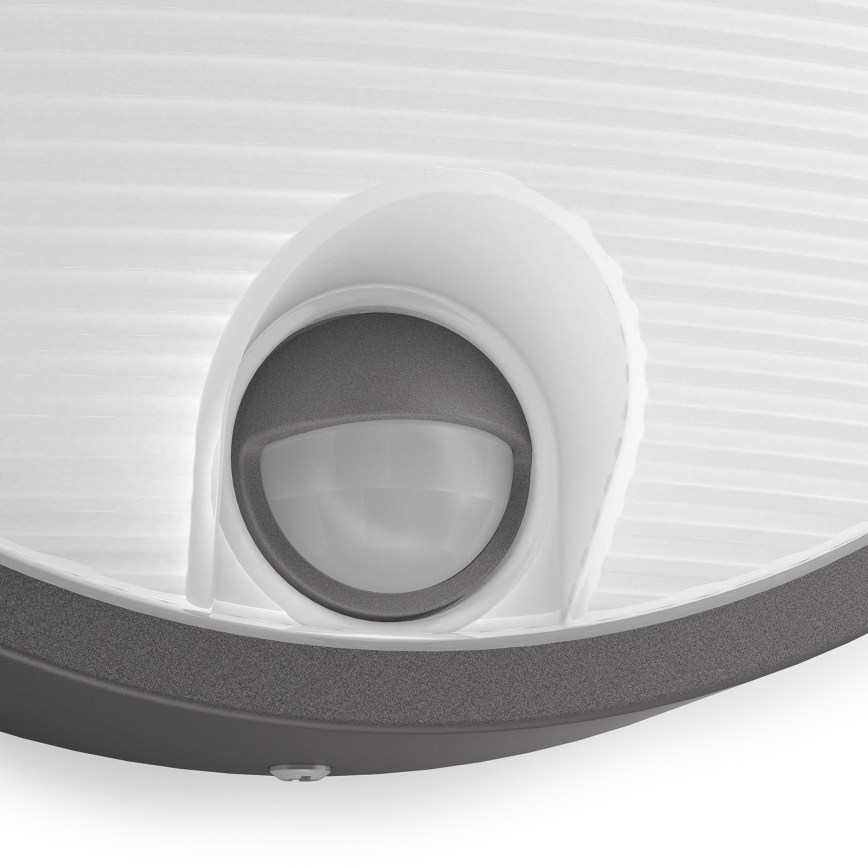Philips 16456/93/16 - LED Außenleuchte mit Senzor MYGARDEN CAPRICORN LED/6W/230V