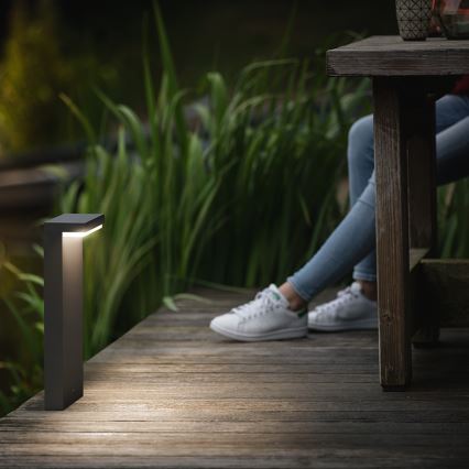 Philips 16485/93/P0 - Bornes d'éclairage extérieur LED MYGARDEN BUSTAN 2xLED/4,5W