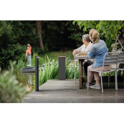 Philips 16486/93/P0 - Bornes d'éclairage extérieur LED MYGARDEN BUSTAN 2xLED/4,5W