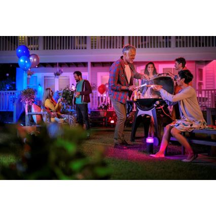 Philips 17415/30/P7 - Spot extérieur LED RGB HUE LILY LED/8W/230V IP65