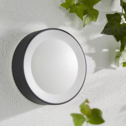 Philips - LED RGBW Applique da esterno dimmerabile Hue DAYLO LED/15W/230V 2000-6500K IP44